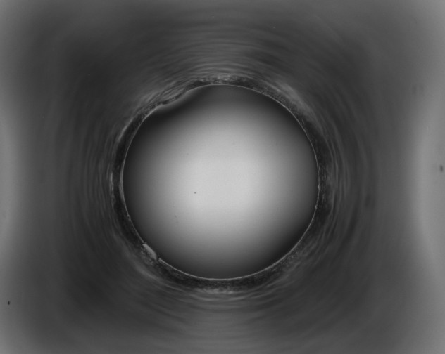 X0000086340500200704131747