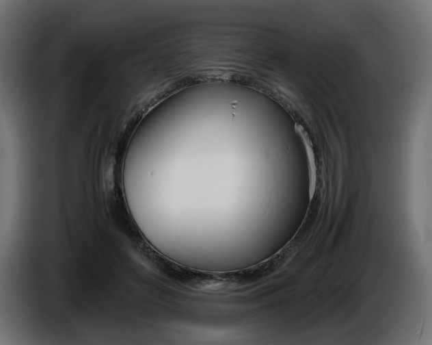 X0000086340504200704131746