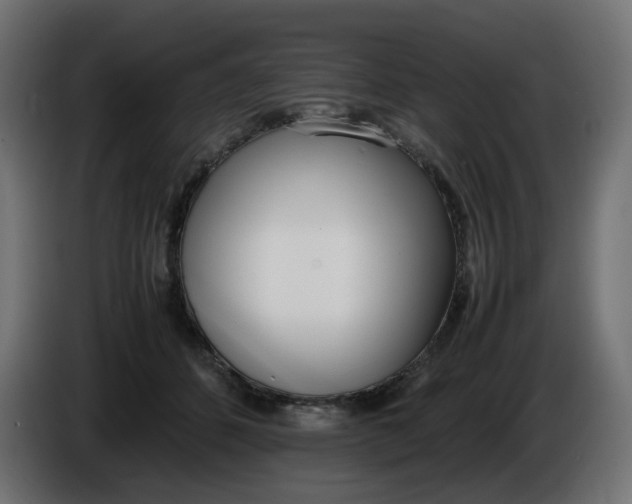 X0000086340512200704131746