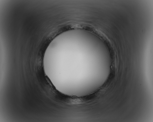 X0000086340513200704131746