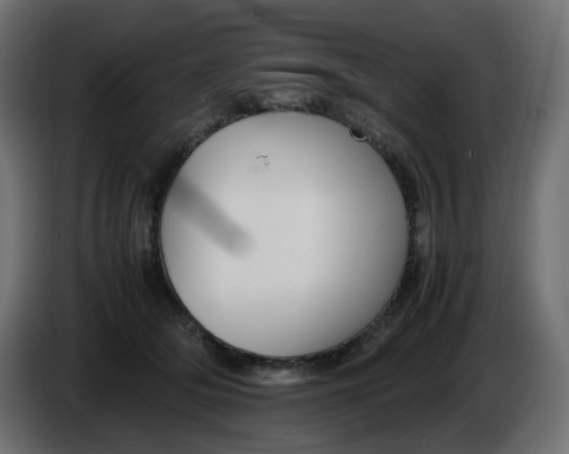 X0000086340514200704131746