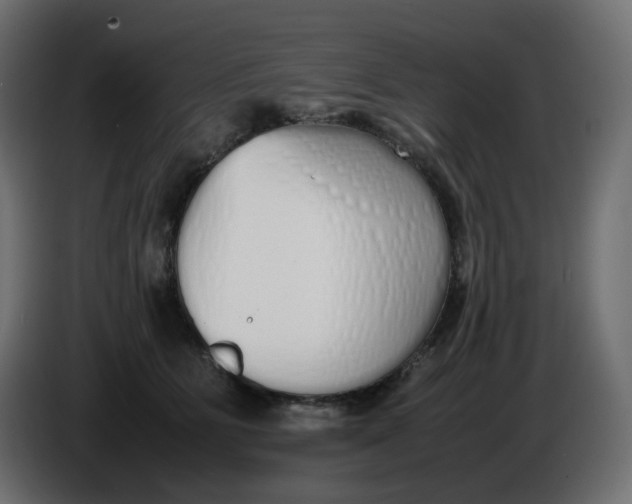 X0000086340515200704131746