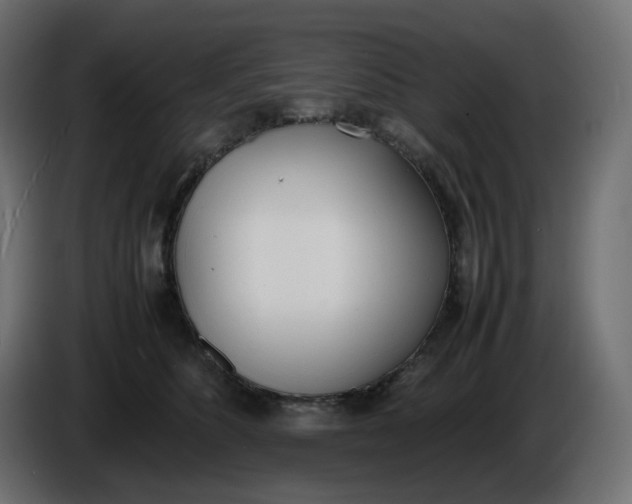 X0000086340516200704131746