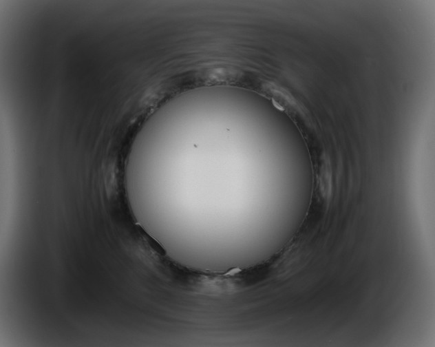 X0000086340520200704131746