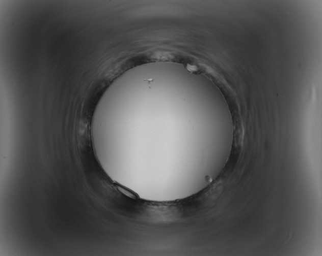 X0000086340521200704131746