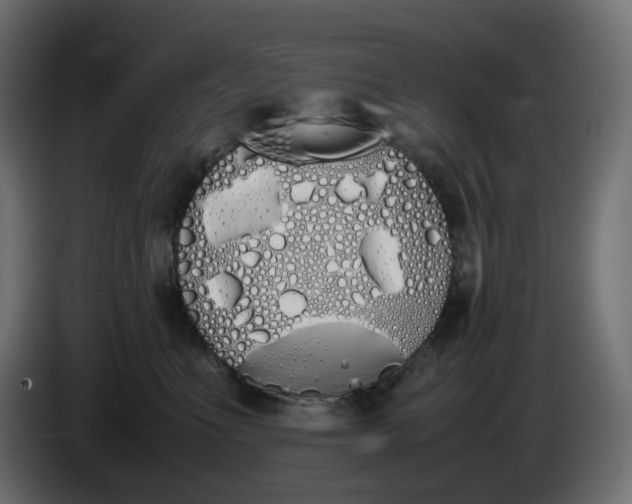 X0000086340523200704131746