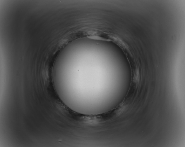 X0000086340524200704131746