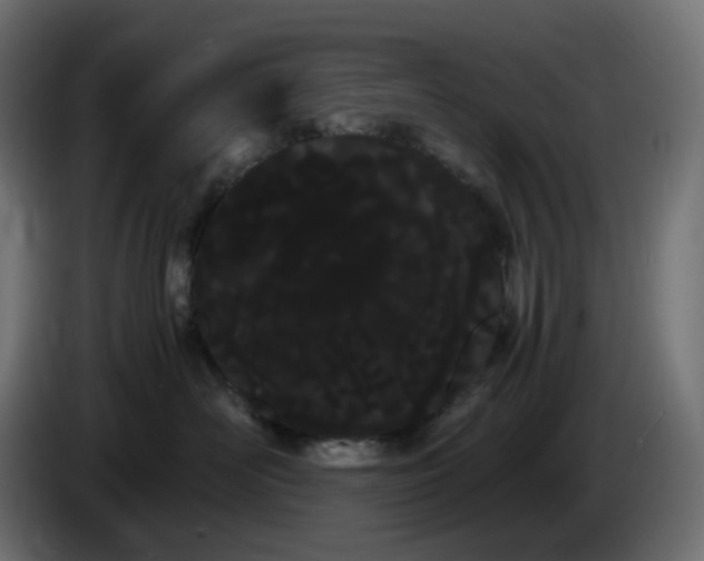 X0000086340526200704131746
