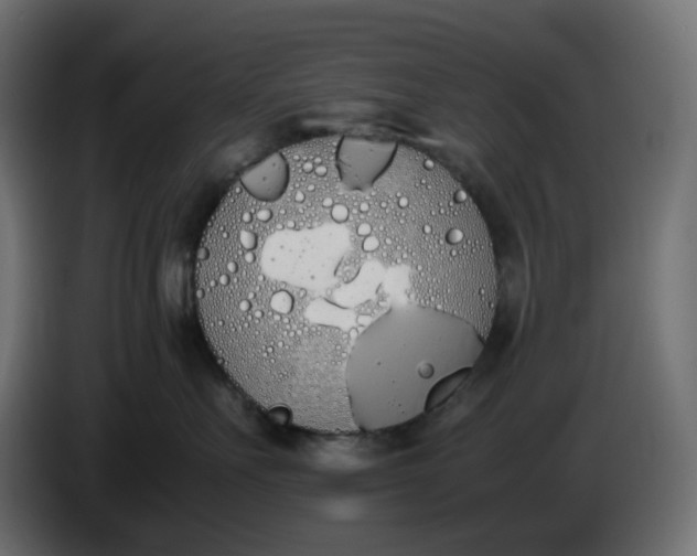 X0000086340527200704131746