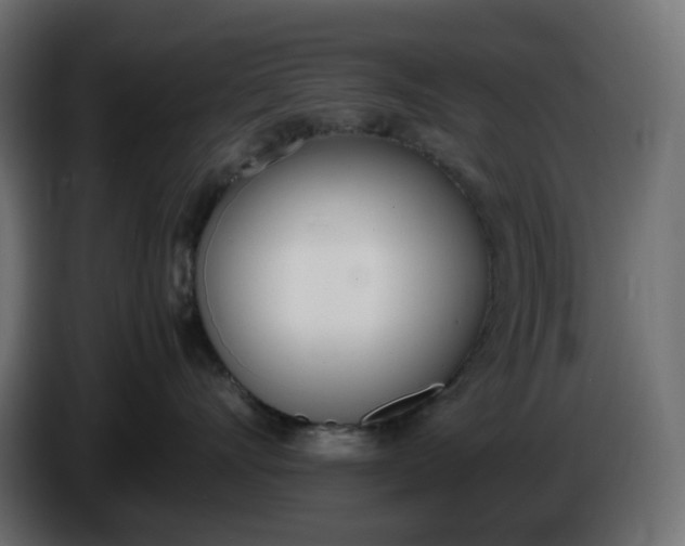 X0000086340528200704131746