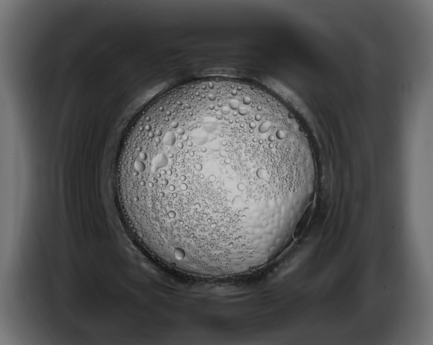 X0000086340529200704131745