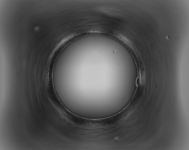 X0000086340531200704131745