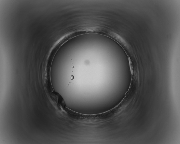 X0000086340532200704131745