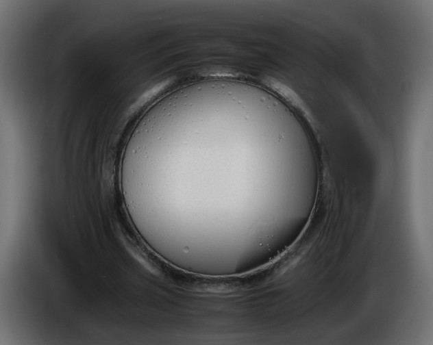 X0000086340533200704131746