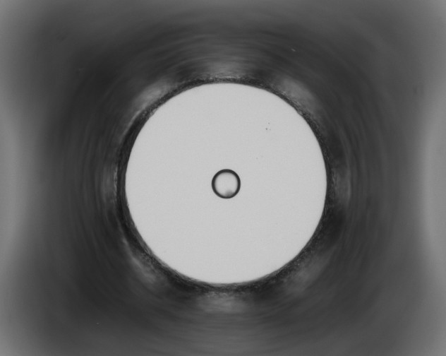 X0000086340534200704131746