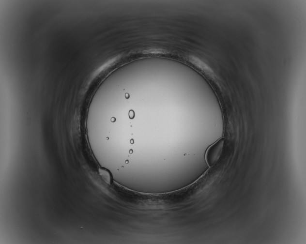 X0000086340535200704131746