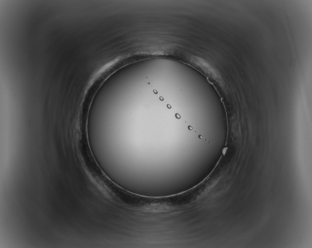 X0000086340536200704131746