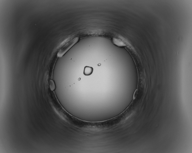 X0000086340538200704131746