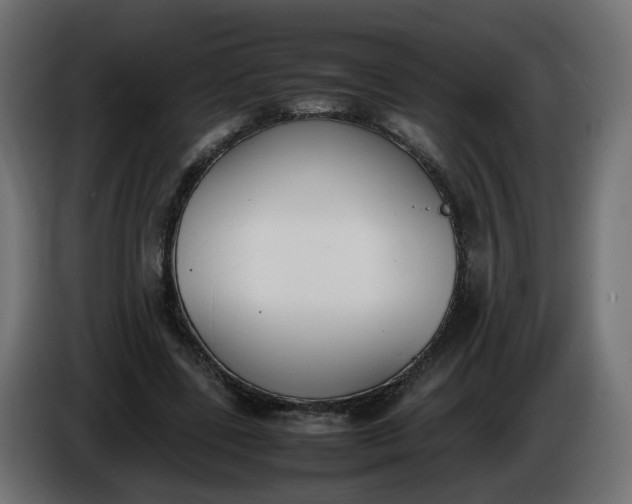 X0000086340539200704131746