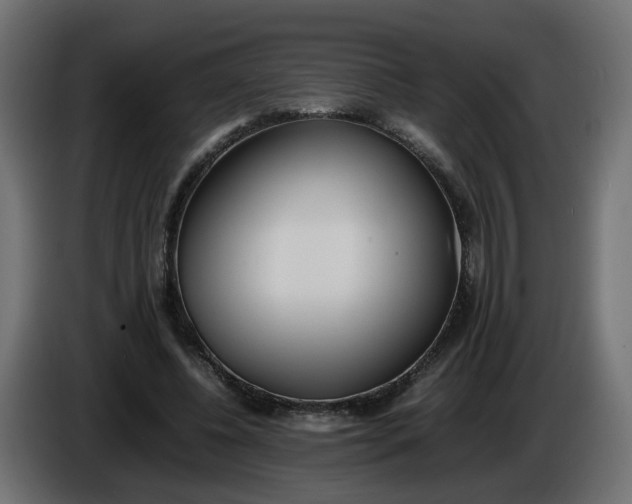 X0000086340540200704131746