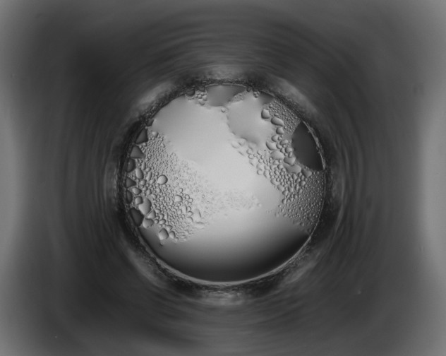 X0000086340542200704131746