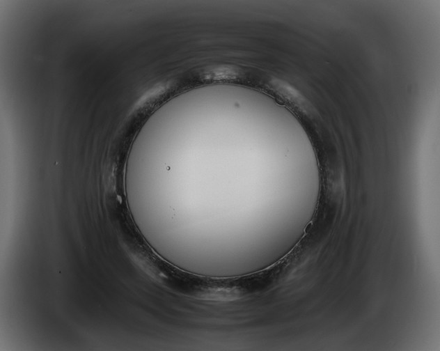 X0000086340543200704131746