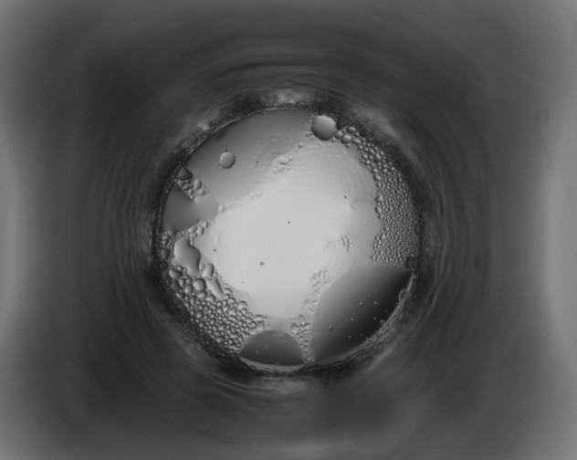 X0000086340545200704131746