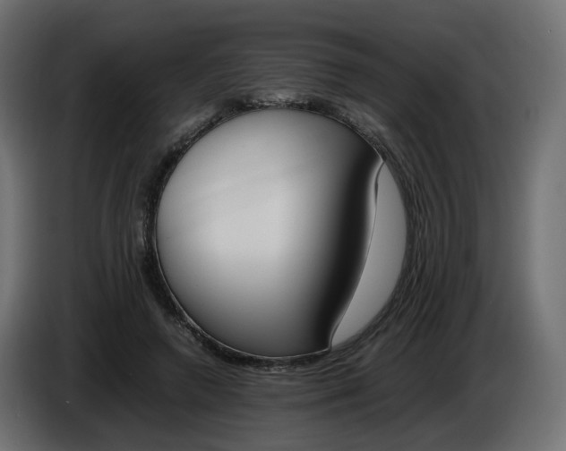 X0000086340546200704131746