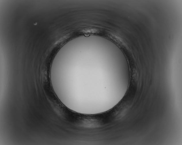 X0000086340547200704131746
