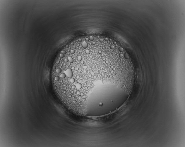 X0000086340550200704131746