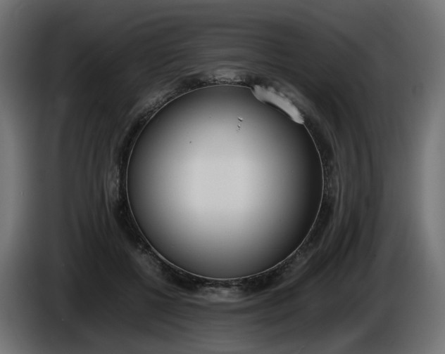 X0000086340552200704131746