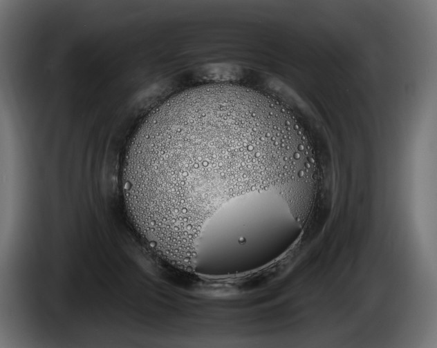 X0000086340553200704131746