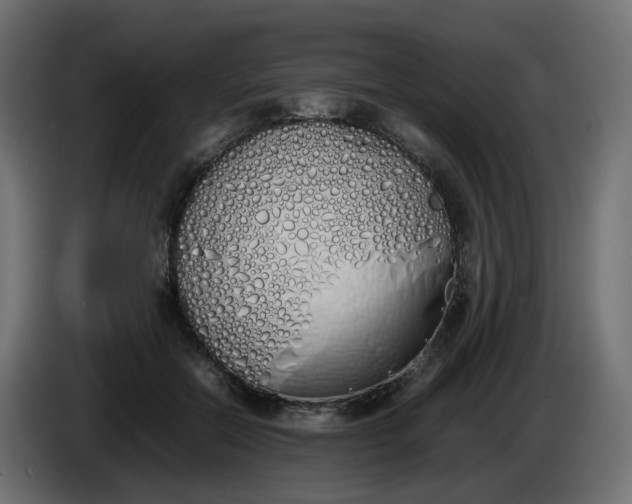 X0000086340554200704131746