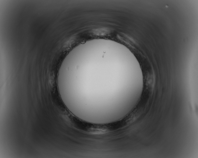 X0000086340559200704131746