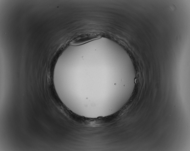 X0000086340564200704131746