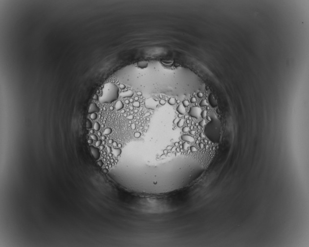 X0000086340565200704131746