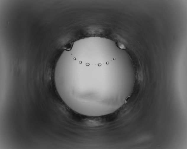 X0000086340567200704131746