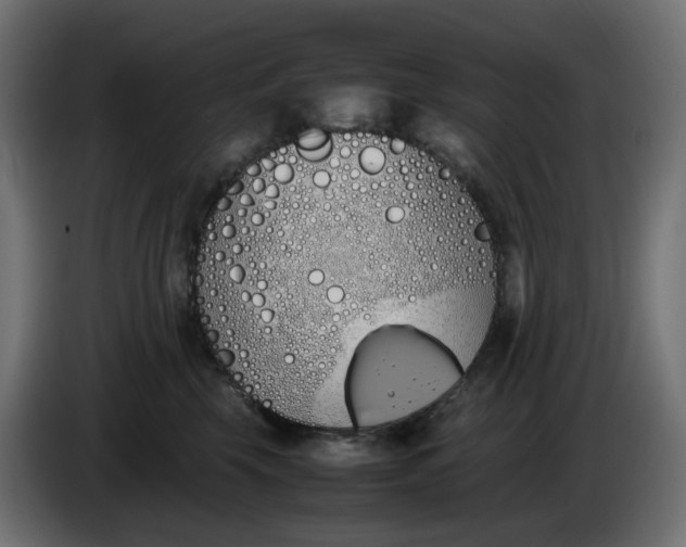 X0000086340569200704131746