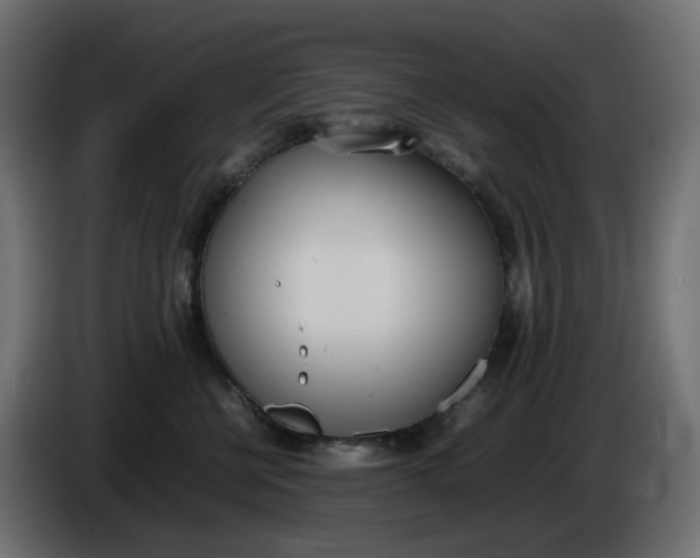 X0000086340570200704131746
