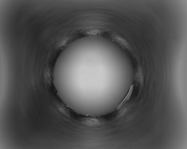 X0000086340572200704131746