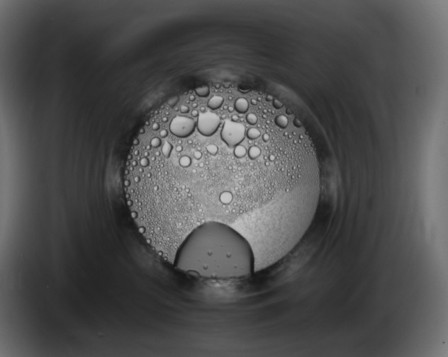 X0000086340573200704131746