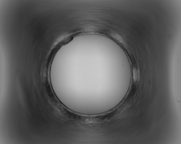 X0000086340579200704131745