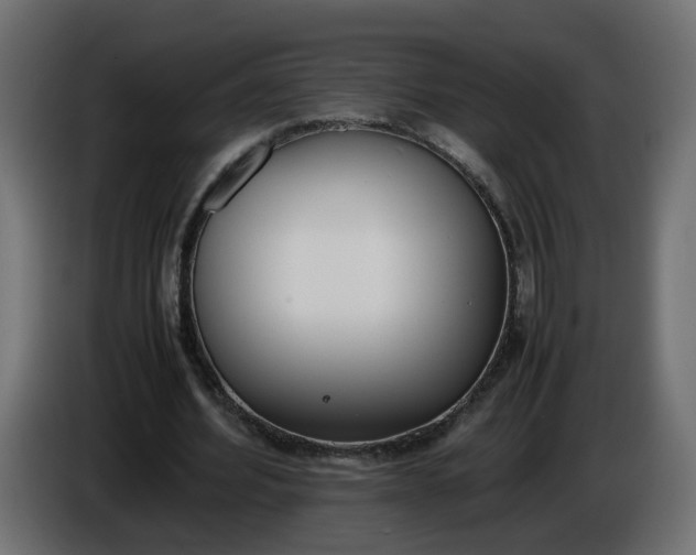 X0000086340580200704131745