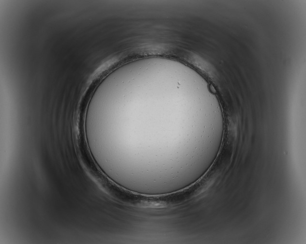 X0000086340582200704131745