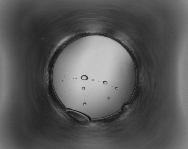 X0000086340584200704131745