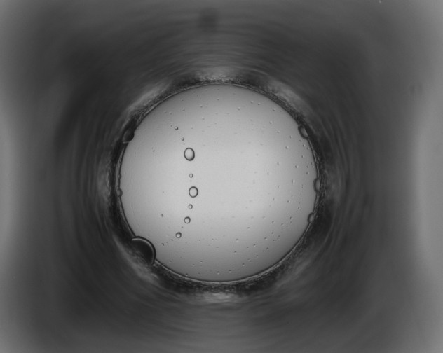 X0000086340586200704131745