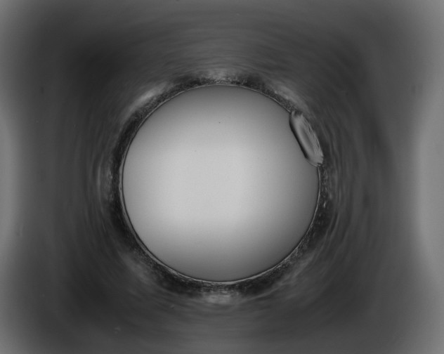 X0000086340587200704131745