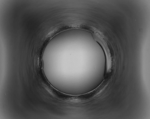 X0000086340589200704131745