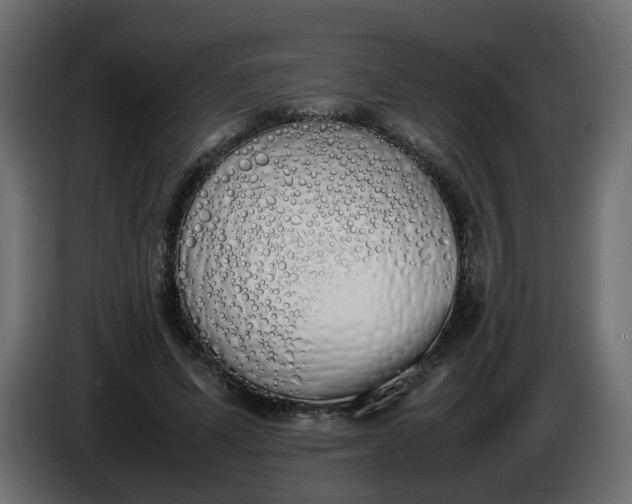 X0000086340591200704131745