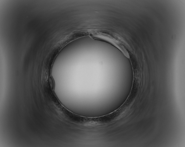 X0000086340593200704131745